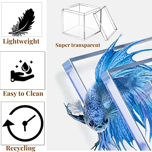 Acrylic Box Large Clear Acrylic Boxes with Lid Rectangle Display Boxes 4 Pieces Acrylic Graduation Gift Boxes Wedding Birthday Party Favor Acrylic Photo Storage Box