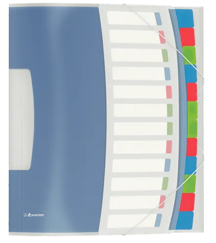 Esselte Divider Book Colour'Ice Multi-Colour - 12 Part