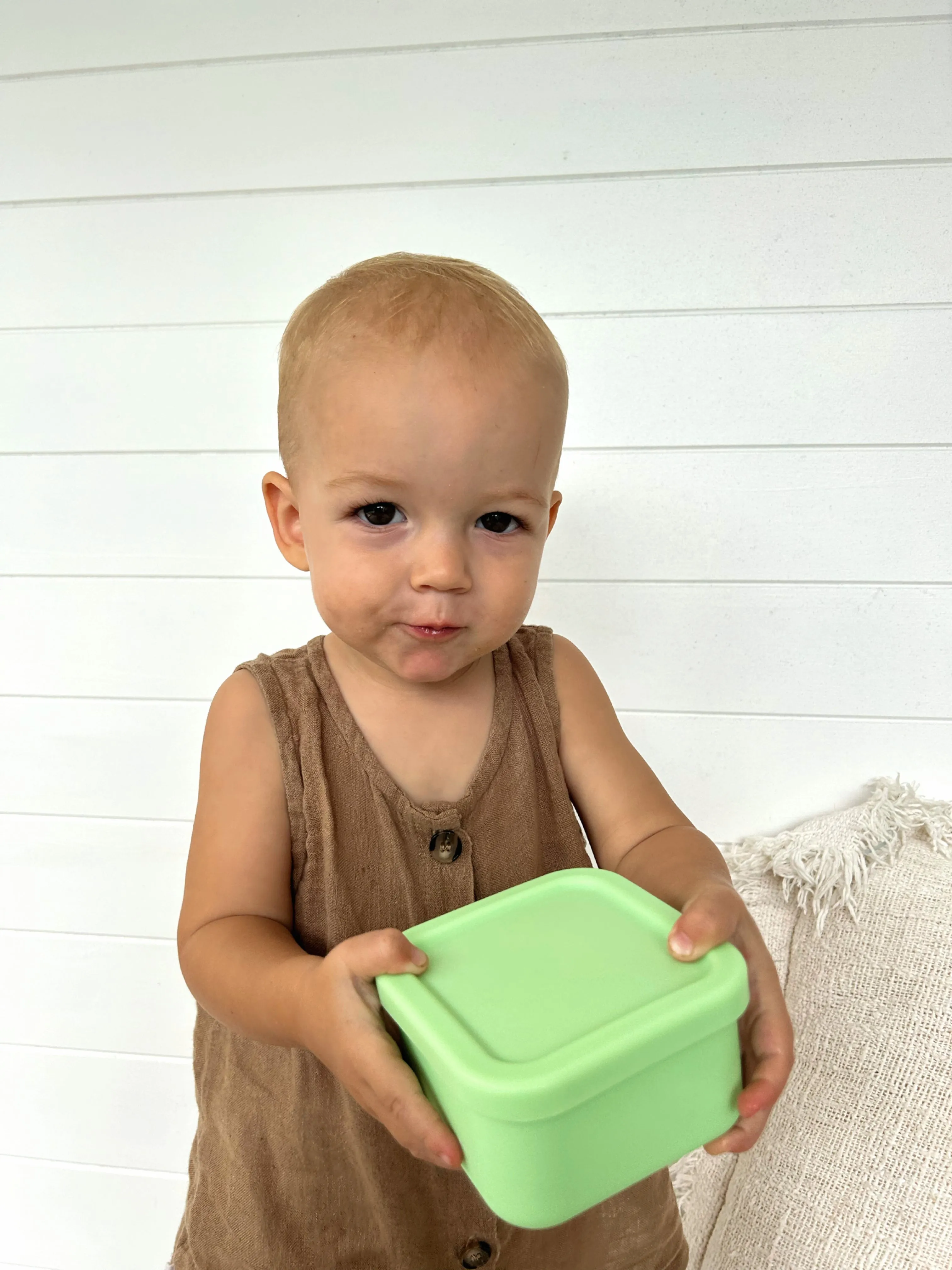 Lime Snack Container