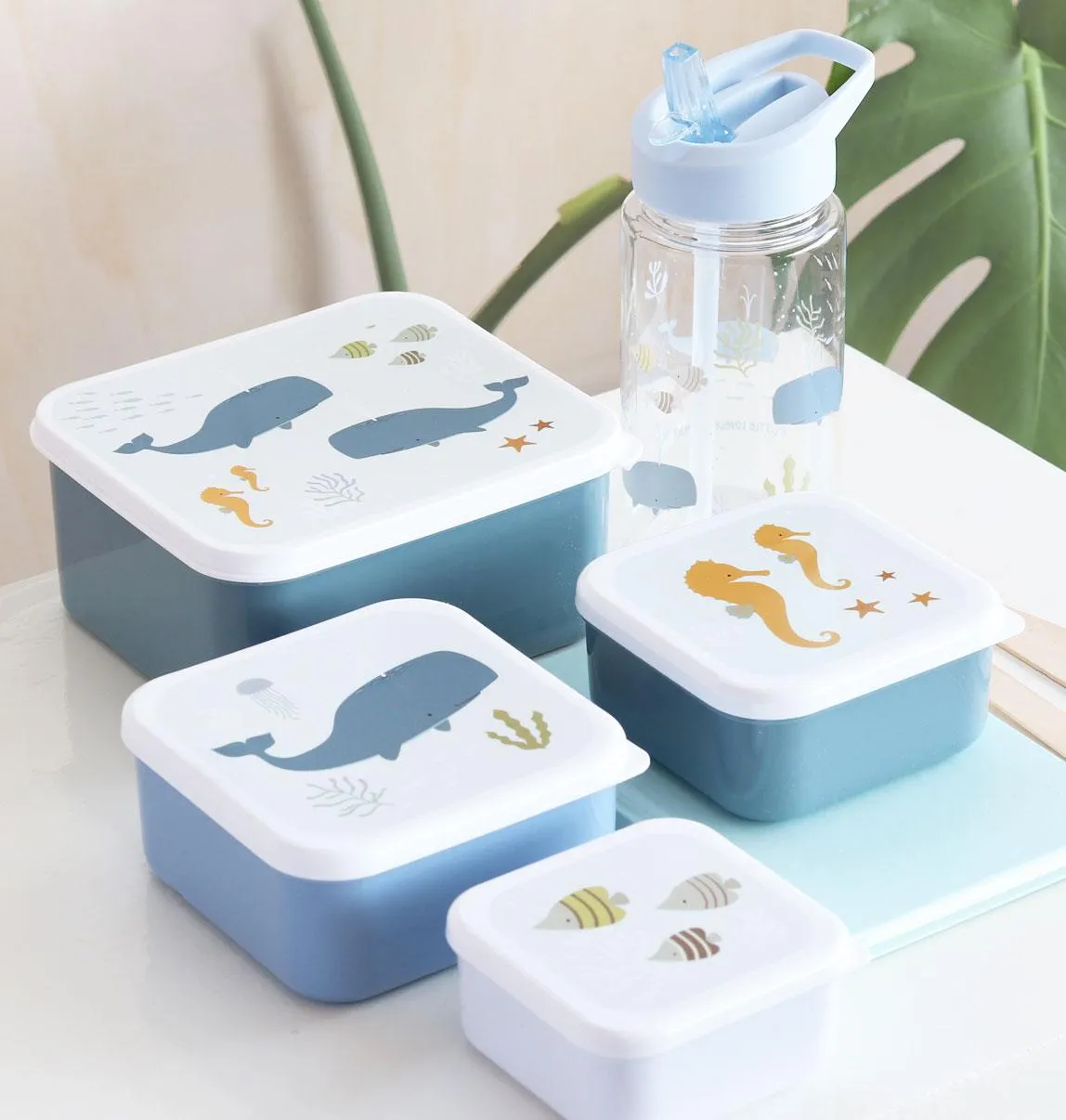 Lunch and Snack Box Set - Ocean