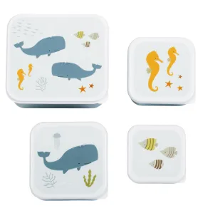Lunch and Snack Box Set - Ocean