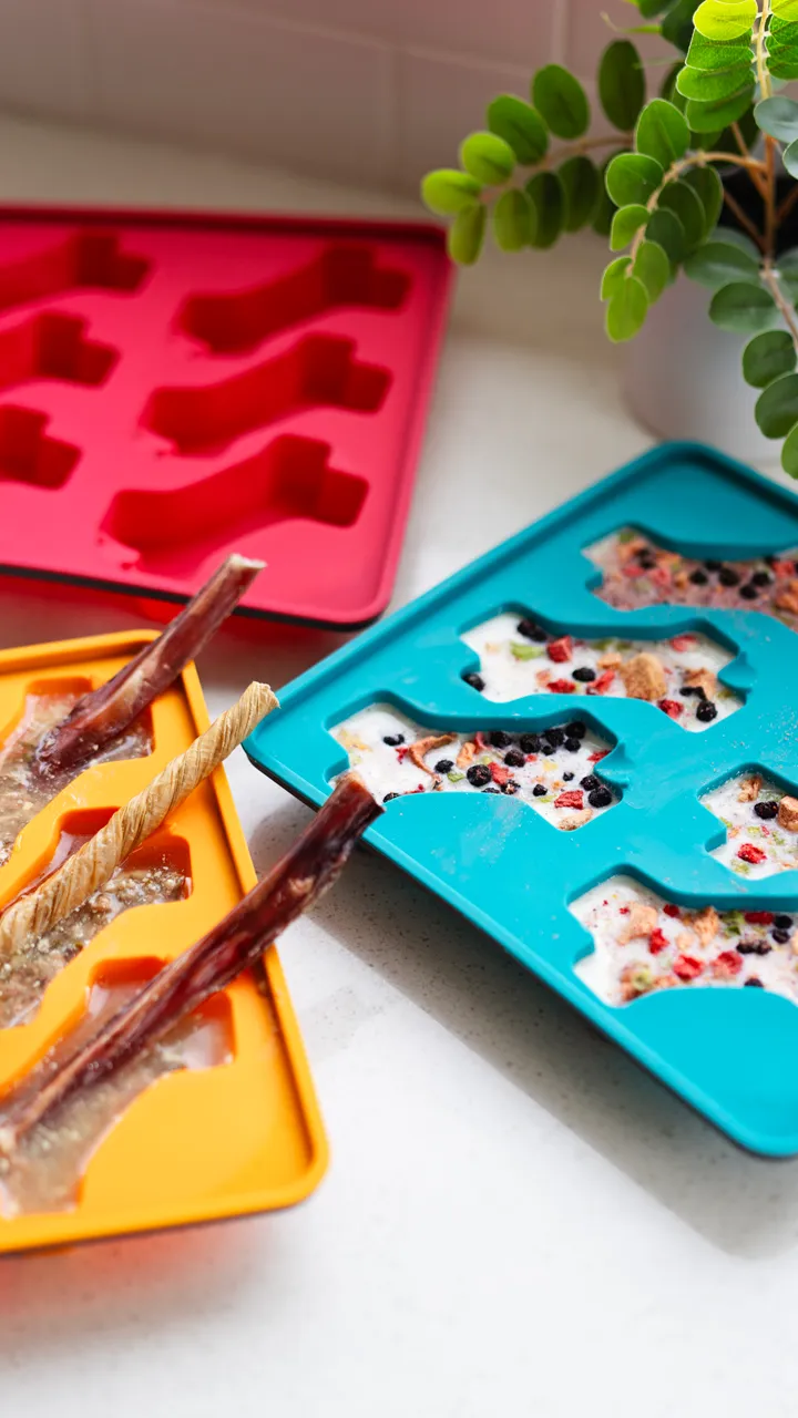Messy Mutts Framed Spill Resistant Silicone Popsicle Mold for Dog Treats - Watermelon