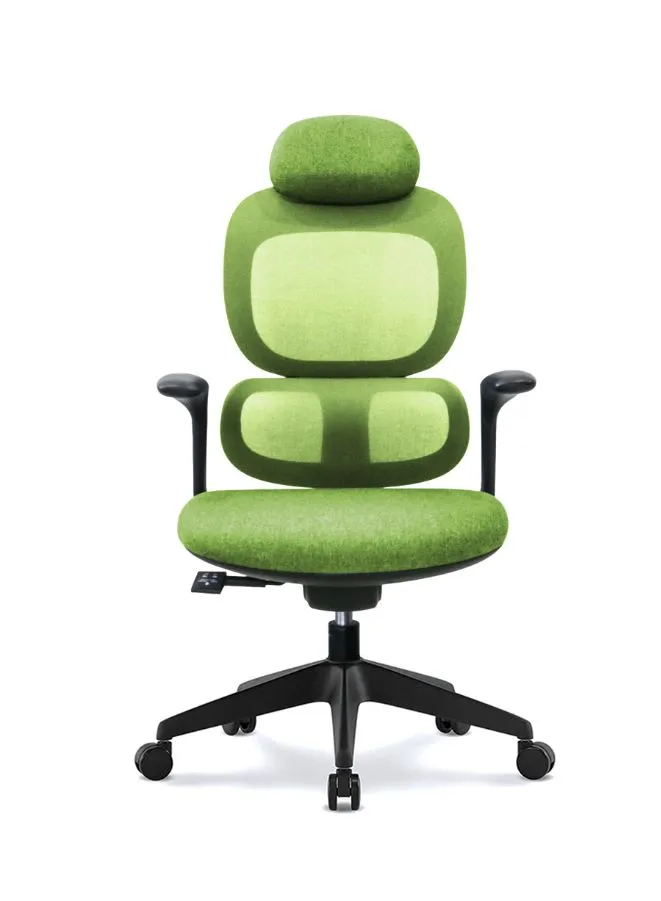 Modern Executive Ergonomic Office Chair With Headrest, Black Base for Office, Home and Shops