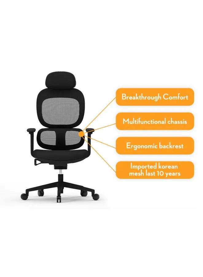 Modern Executive Ergonomic Office Chair With Headrest, Black Base for Office, Home and Shops