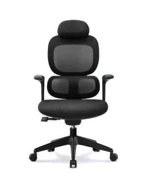 Modern Executive Ergonomic Office Chair With Headrest, Black Base for Office, Home and Shops