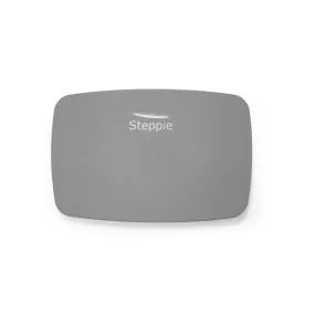 Steppie Balance Board