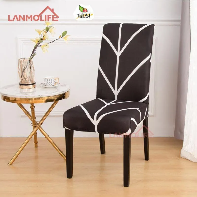Trendily Stretchable Chair Covers Black Elegance (CC-101)