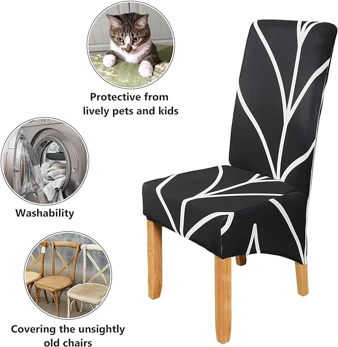 Trendily Stretchable Chair Covers Black Elegance (CC-101)